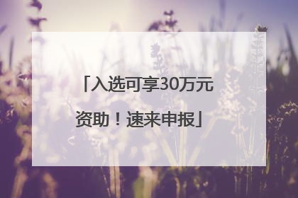 入选可享30万元资助！速来申报