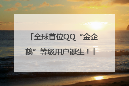 全球首位QQ“金企鹅”等级用户诞生！