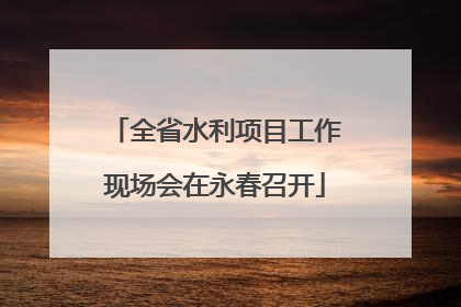 全省水利项目工作现场会在永春召开
