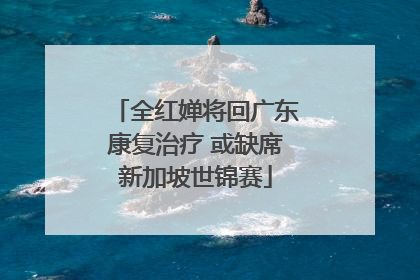 全红婵将回广东康复治疗 或缺席新加坡世锦赛