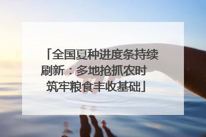 全国夏种进度条持续刷新：多地抢抓农时 筑牢粮食丰收基础
