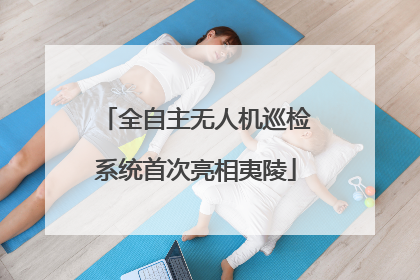 全自主无人机巡检系统首次亮相夷陵