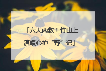 六天两救！竹山上演暖心护“野”记