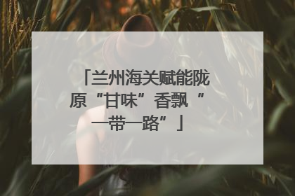 兰州海关赋能陇原“甘味”香飘“一带一路”