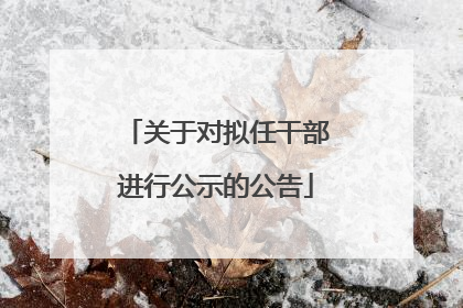 关于对拟任干部进行公示的公告