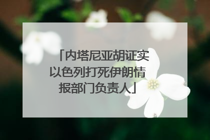 内塔尼亚胡证实以色列打死伊朗情报部门负责人