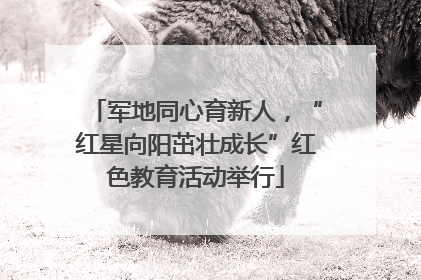 军地同心育新人，“红星向阳茁壮成长”红色教育活动举行