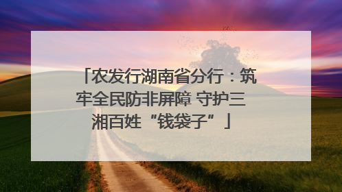 农发行湖南省分行：筑牢全民防非屏障 守护三湘百姓“钱袋子”