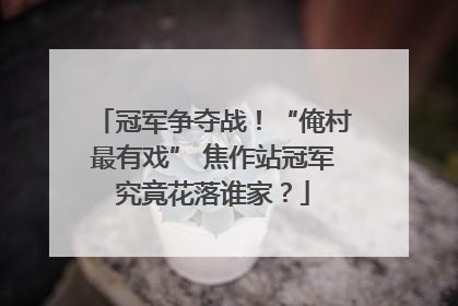 冠军争夺战！“俺村最有戏” 焦作站冠军究竟花落谁家？