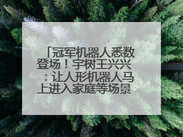 冠军机器人悉数登场！宇树王兴兴：让人形机器人马上进入家庭等场景并不现实