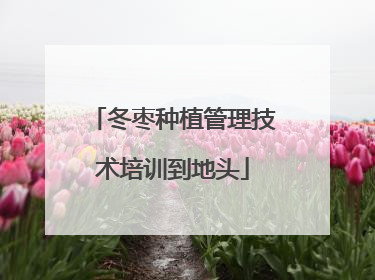 冬枣种植管理技术培训到地头
