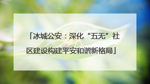 冰城公安：深化“五无”社区建设构建平安和谐新格局
