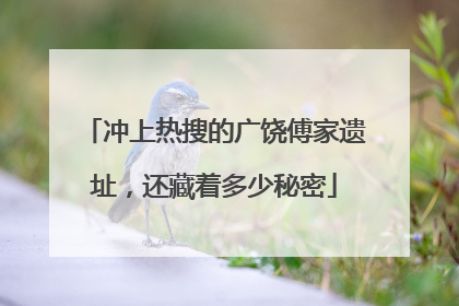 冲上热搜的广饶傅家遗址，还藏着多少秘密