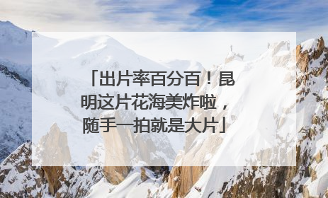 出片率百分百！昆明这片花海美炸啦，随手一拍就是大片