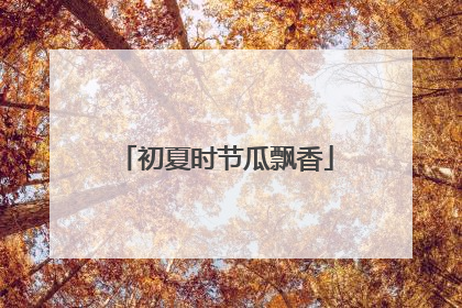 初夏时节瓜飘香