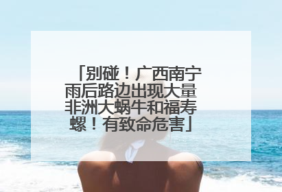 别碰！广西南宁雨后路边出现大量非洲大蜗牛和福寿螺！有致命危害