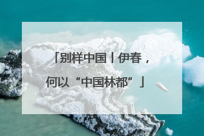 别样中国丨伊春，何以“中国林都”