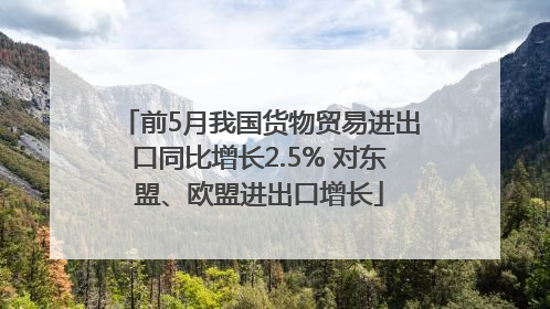前5月我国货物贸易进出口同比增长2.5% 对东盟、欧盟进出口增长