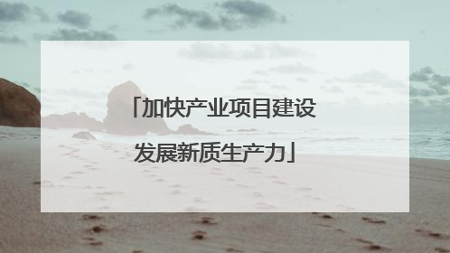 加快产业项目建设 发展新质生产力
