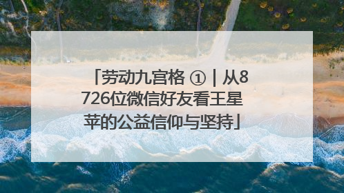 劳动九宫格 ①｜从8726位微信好友看王星苹的公益信仰与坚持