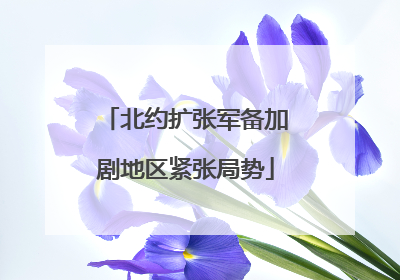 北约扩张军备加剧地区紧张局势