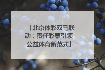 北京体彩双马联动：责任彩票引领公益体育新范式