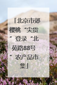 北京市郊樱桃“尖货”登录“北苑路88号”农产品市集