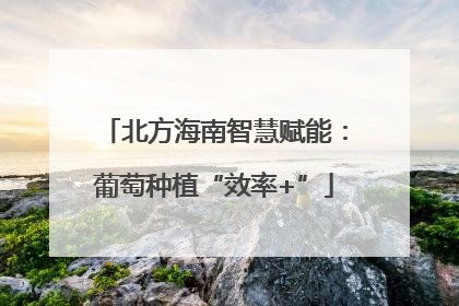 北方海南智慧赋能：葡萄种植“效率+”