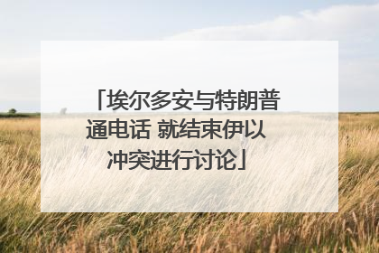 埃尔多安与特朗普通电话 就结束伊以冲突进行讨论
