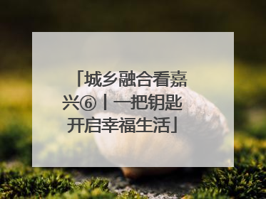 城乡融合看嘉兴⑥丨一把钥匙开启幸福生活