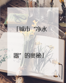 城市“净水器”的奥秘
