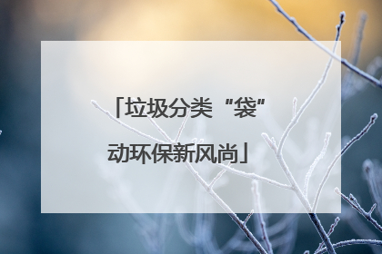 垃圾分类“袋”动环保新风尚