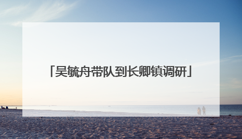 吴毓舟带队到长卿镇调研