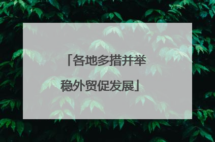 各地多措并举稳外贸促发展