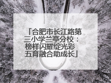 合肥市长江路第三小学兰亭分校：榜样闪耀绽光彩 五育融合助成长