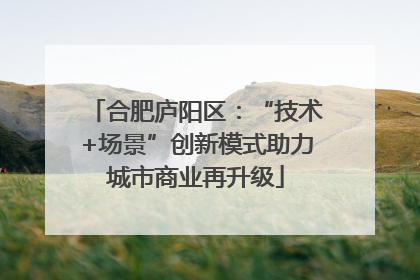 合肥庐阳区：“技术+场景”创新模式助力城市商业再升级