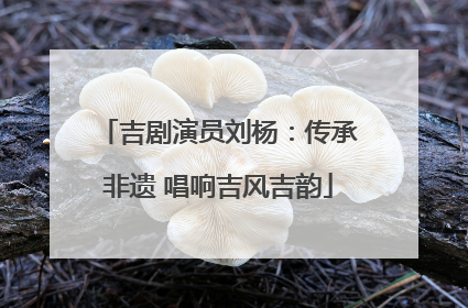 吉剧演员刘杨：传承非遗 唱响吉风吉韵