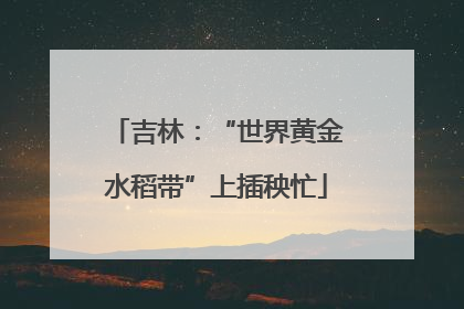 吉林：“世界黄金水稻带”上插秧忙