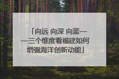 向远 向深 向蓝——三个维度看福建如何增强海洋创新动能