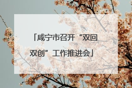 咸宁市召开“双回双创”工作推进会