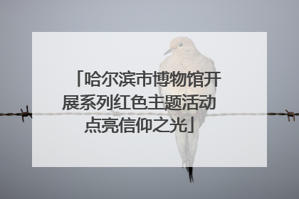 哈尔滨市博物馆开展系列红色主题活动点亮信仰之光