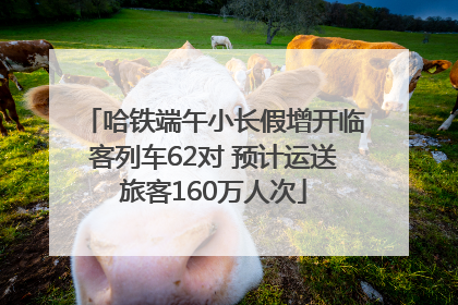 哈铁端午小长假增开临客列车62对 预计运送旅客160万人次