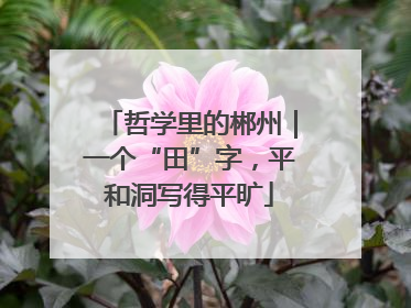 哲学里的郴州｜一个“田”字，平和洞写得平旷