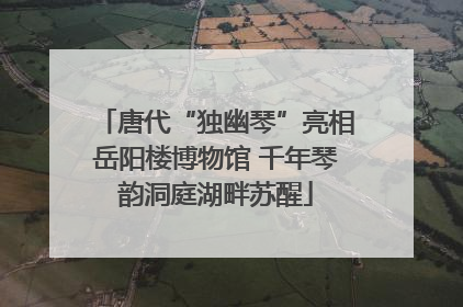 唐代“独幽琴”亮相岳阳楼博物馆 千年琴韵洞庭湖畔苏醒
