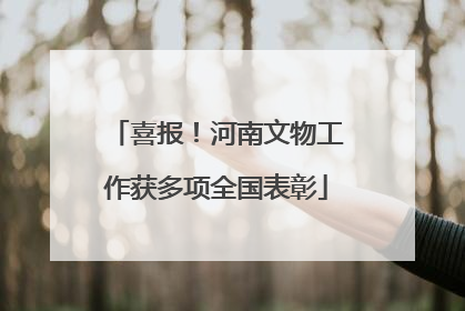 喜报！河南文物工作获多项全国表彰