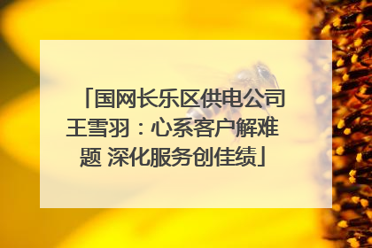 国网长乐区供电公司王雪羽：心系客户解难题 深化服务创佳绩