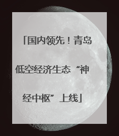 国内领先！青岛低空经济生态“神经中枢”上线