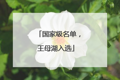 国家级名单，王母湖入选