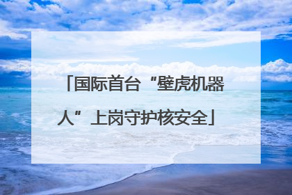 国际首台“壁虎机器人”上岗守护核安全