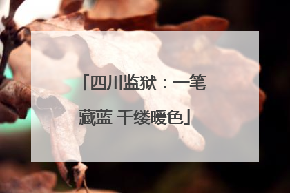四川监狱：一笔藏蓝 千缕暖色